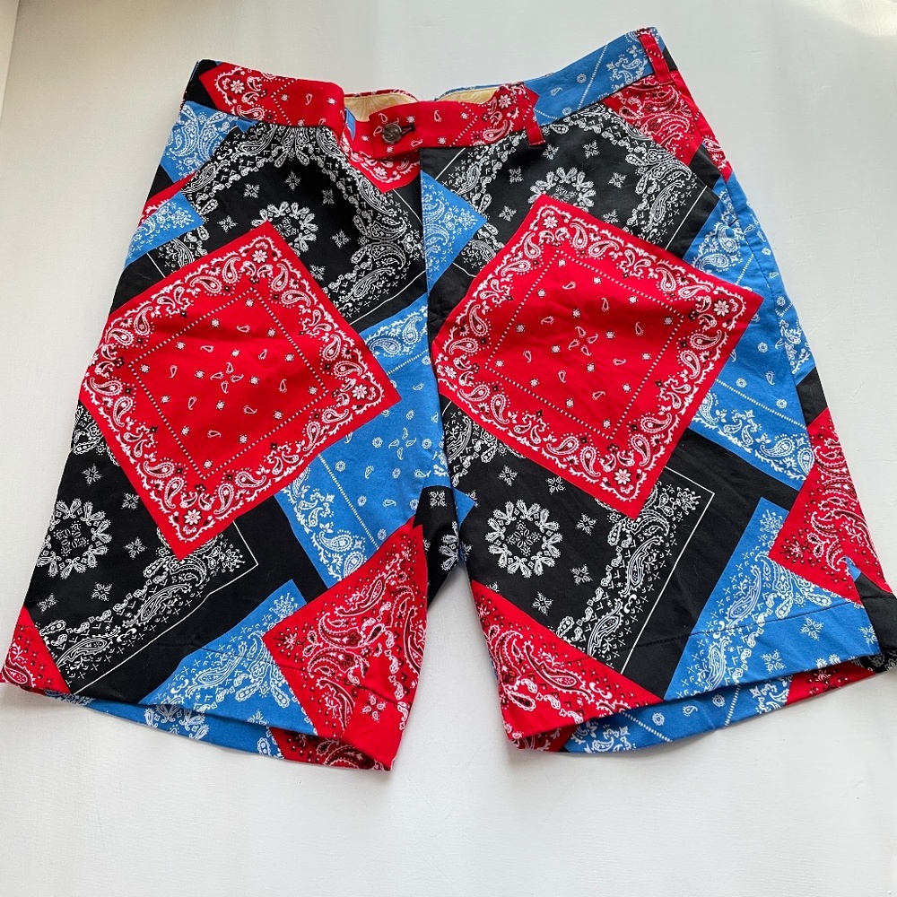 Loudmouth Fairway Bandana Print Golf Shorts Mens 34 Heritage Paisley Inseam 10in